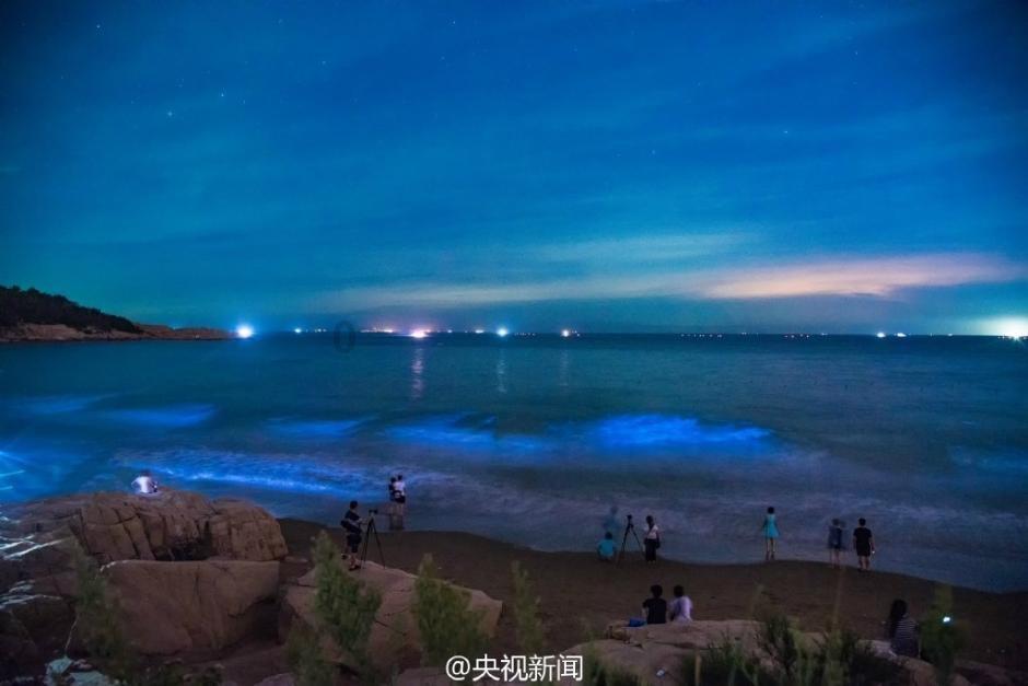 2024春运正式拉开帷幕 高速驿网服务区守护您的旅途