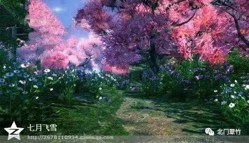 沪江开心词场