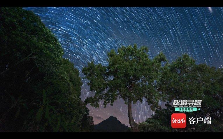 始终坚持人民至上、生命至上、安全第一  确保新区消防安全形势持续稳定
