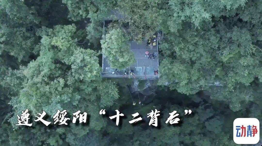 两男子摘马蜂窝,三天后路人被马蜂蜇伤致死,法院判罚30余万元