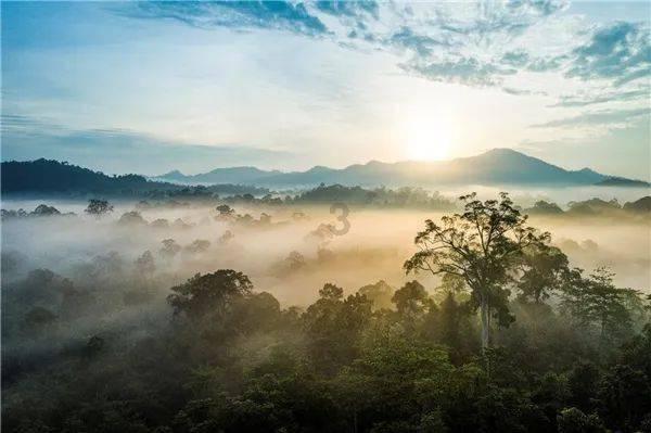 地铁：最后的曙光