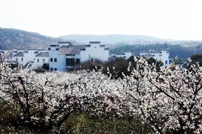 春运临近 太原铁路预计发送旅客920万人次