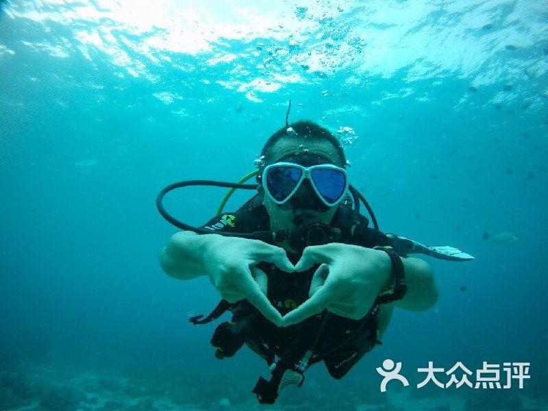 学习插花艺术