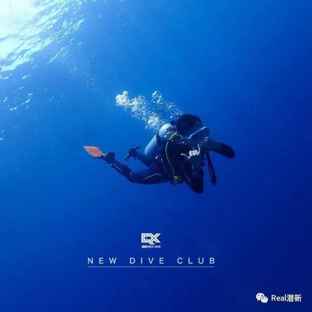 千秋文字更嶙峋——遥送戴逸先生