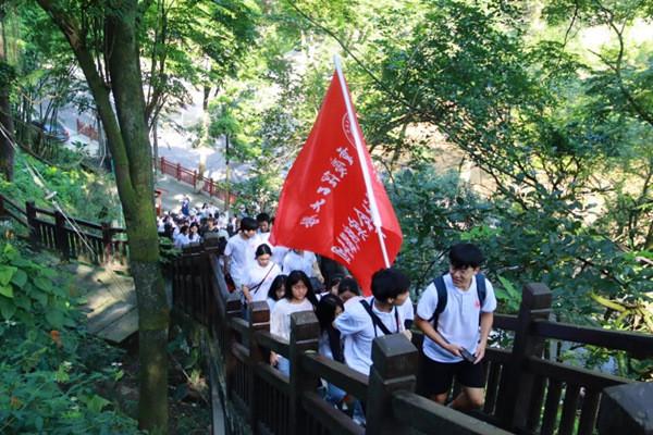 行政复议审查合法性还是合理性游戏画面