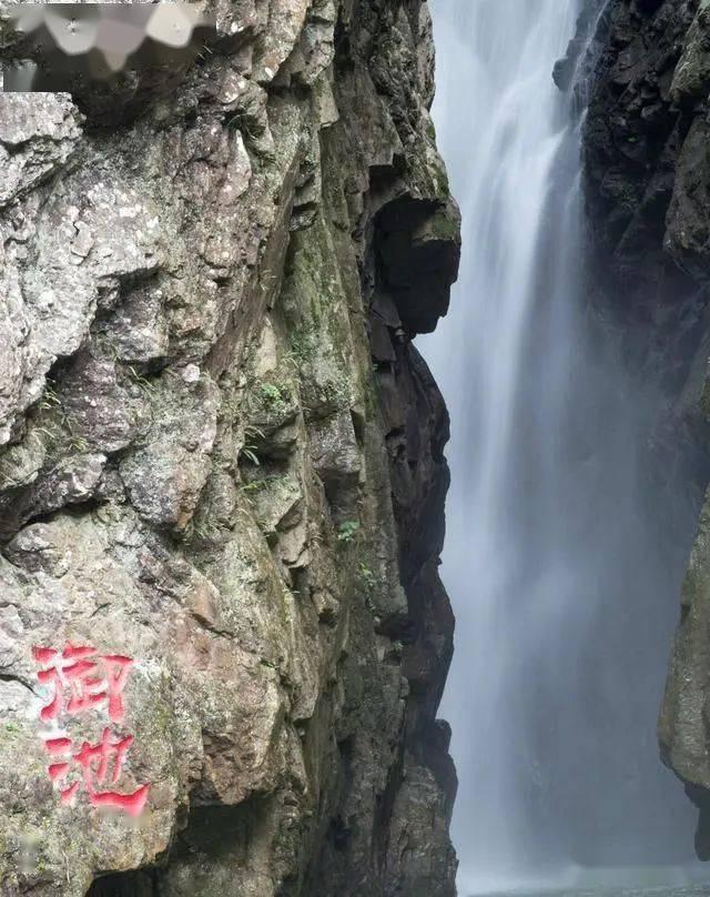 月光影视