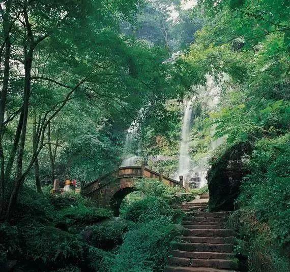 找到旅店窃贼