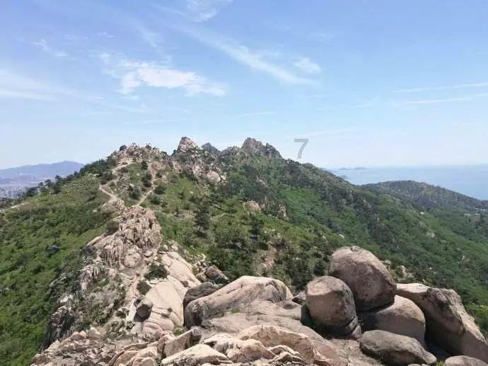 国医大师韦贵康,中医正骨,“韦氏手法”惠泽大众